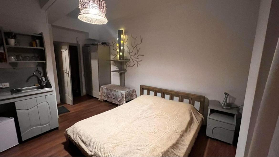 Hotel Mgzavrebi Bakuriani Eksteriør billede